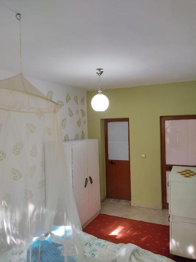 Private Apartment Elbasan Historic Center Extérieur photo